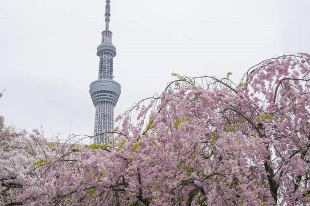 Hotel 3000 Jyuraku Tokio Buitenkant foto